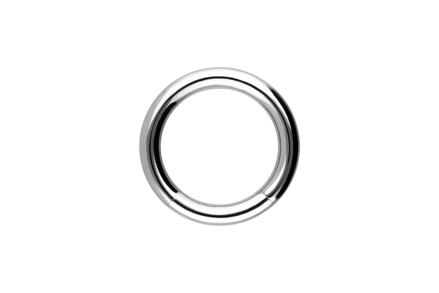 Chirurgenstahl Segmentring von Piercingline